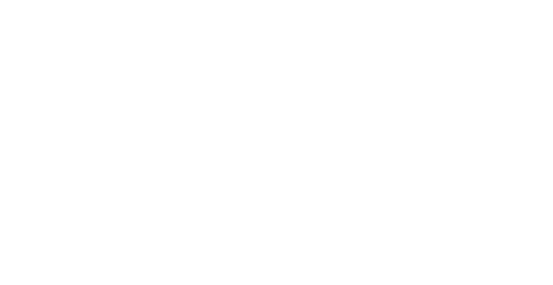 Big Brother VIP logo