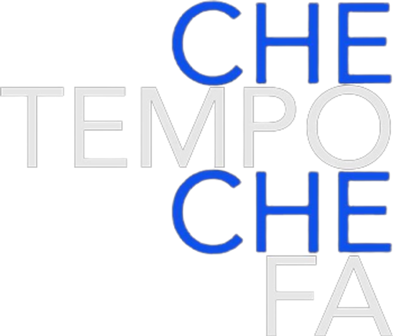 Che tempo che fa logo