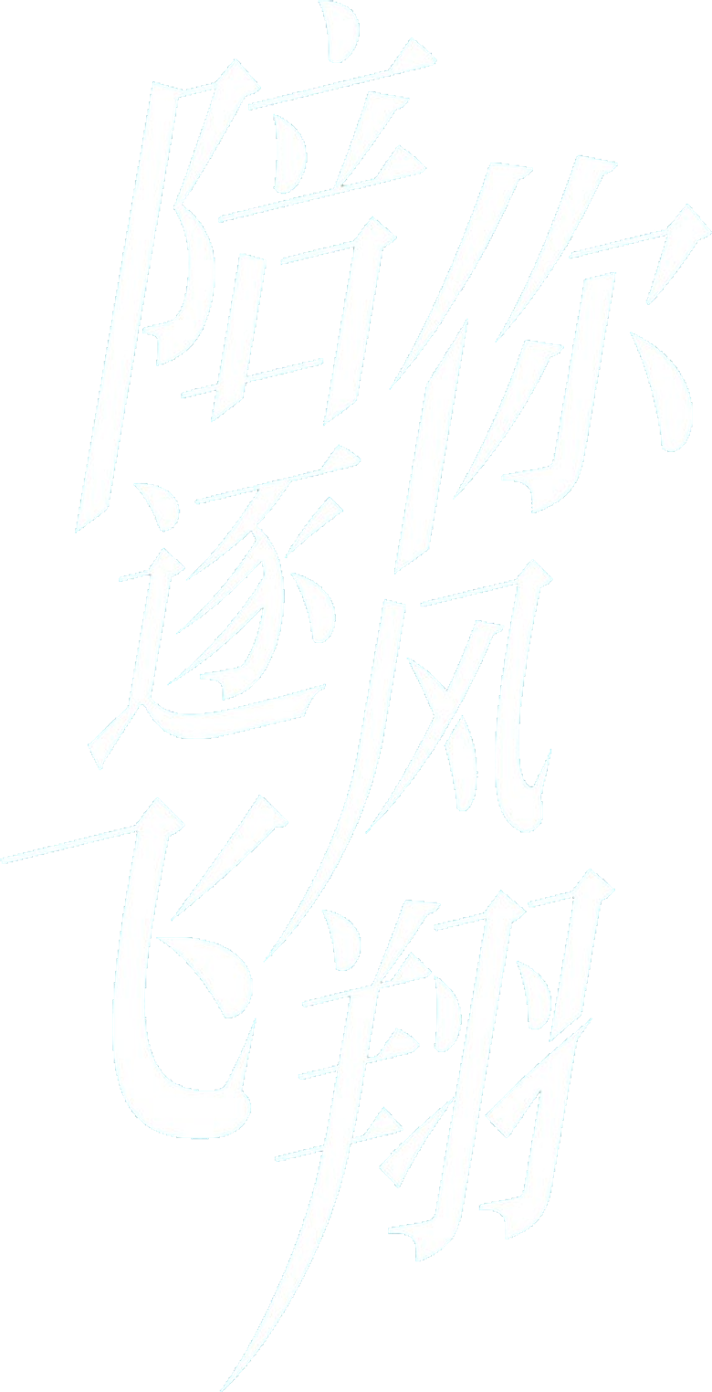 陪你逐风飞翔 logo