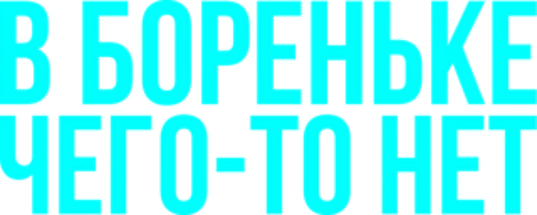 В Бореньке чего-то нет logo