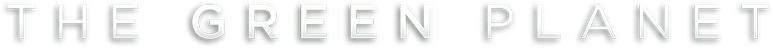 Planeta Verde logo