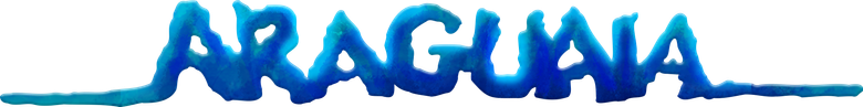 Destiny River logo