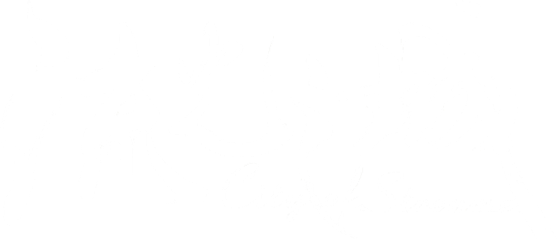 流光之城 logo