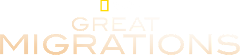 Grandes Migrações logo