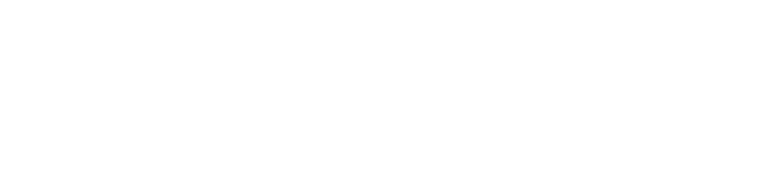 Mega Aeroporto de Nova York logo