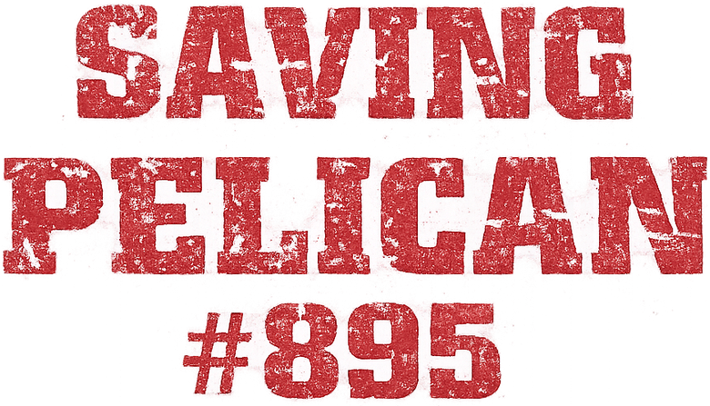Saving Pelican 895