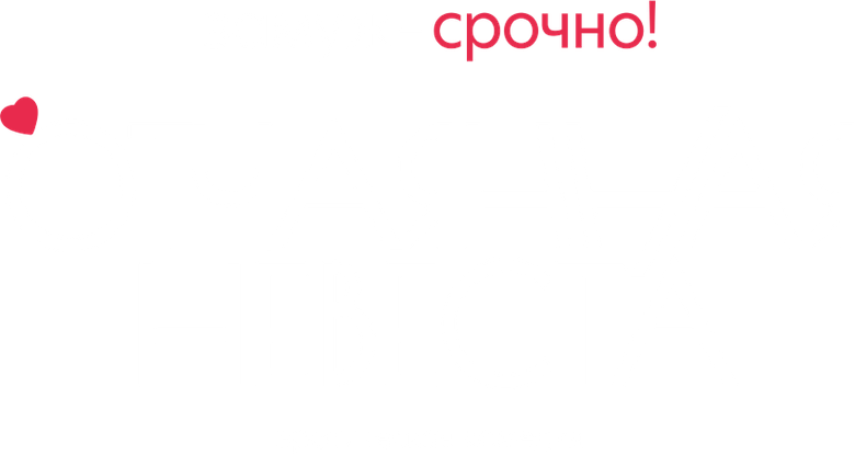 Отчаянная невеста logo