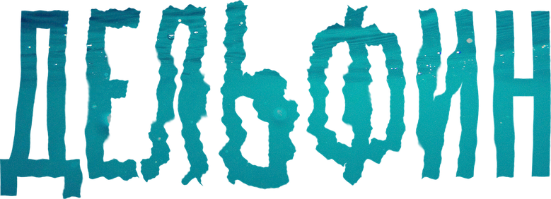 Дельфин logo