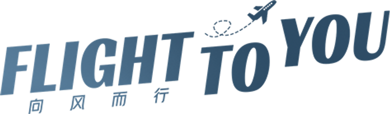 フライト・トゥ・ユー～君との距離 logo