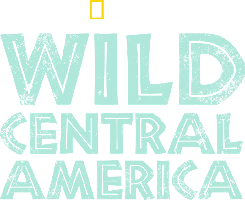 Desvendando a América Central logo