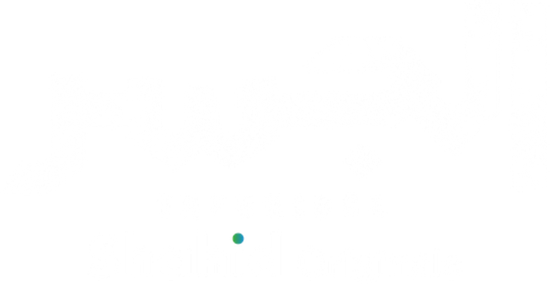 الجسر logo