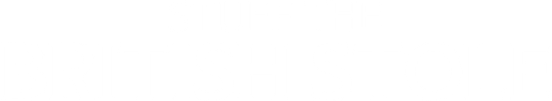 Stuff the British Stole logo