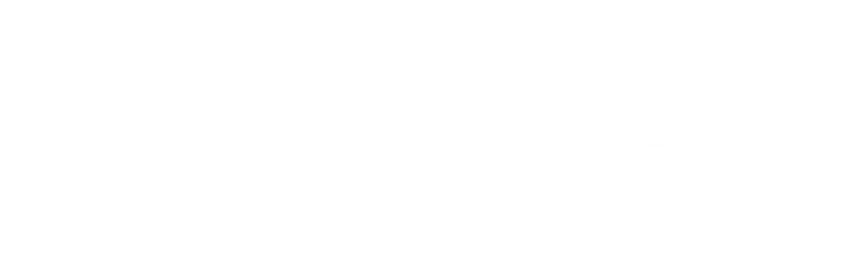 Austin Dillon's Life in the Fast Lane