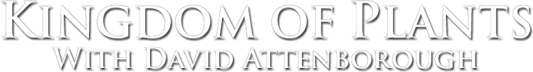 Kingdom of Plants logo
