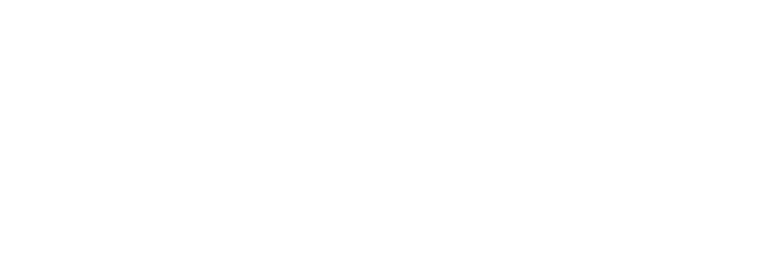 Nils Holgerssons wunderbare Reise logo