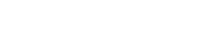 新天生一對 logo