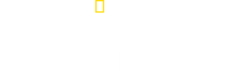 Great Shark Chow Down