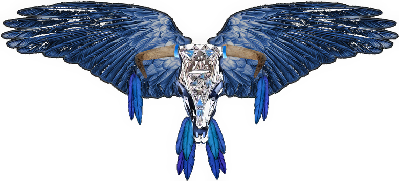 History of the Eagles logo