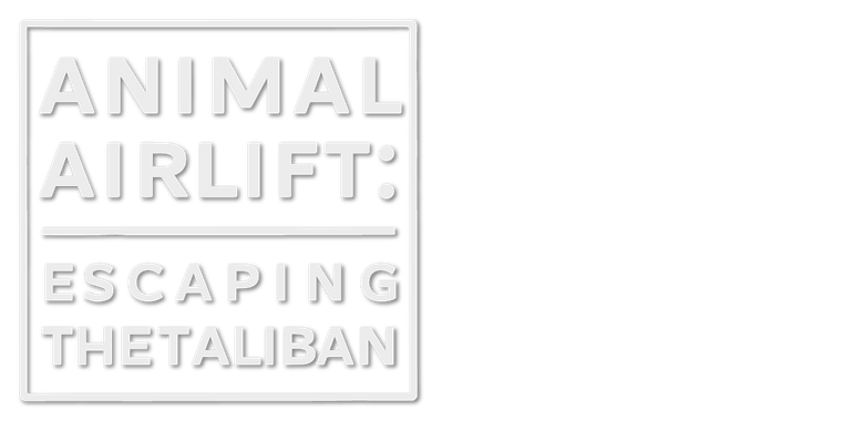 Animal Airlift: Escaping the Taliban