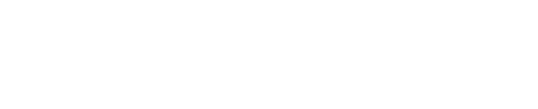 The Vince Staples Show logo