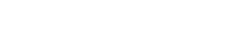 Os Sobreviventes Colônia Dignidade logo