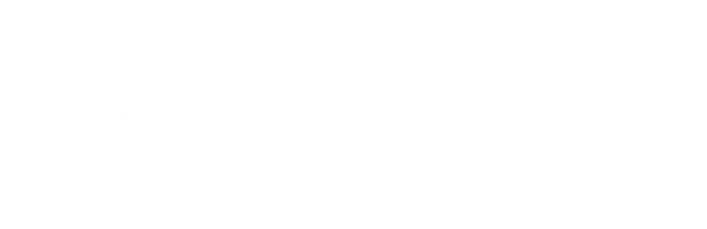 Mulher Valente logo