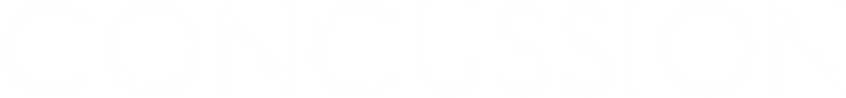 Concussion - Leichte Erschütterung logo