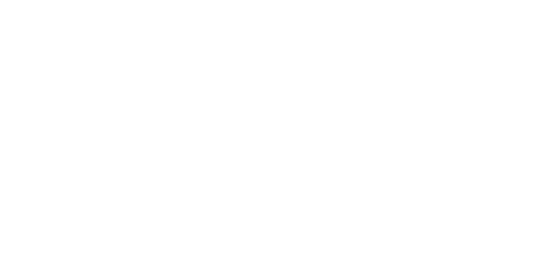 Lição de Amor logo