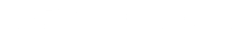 Agent from Above logo
