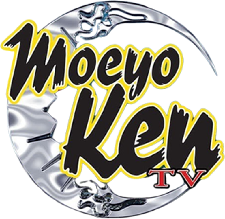 機動新撰組 萌えよ剣 logo