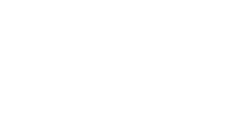 少年歌行 logo