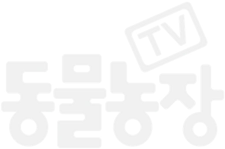 TV 동물농장 logo