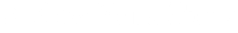 A New York Story logo