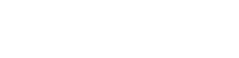 The Mighty Nein logo