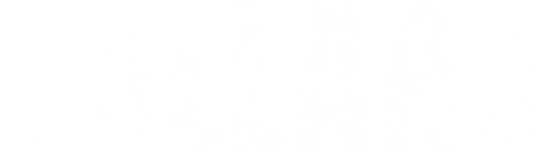 Ballard logo