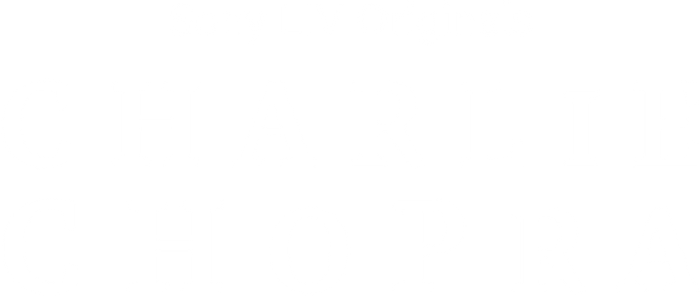 चार्ली चोपड़ा एंड द मिस्ट्री ऑफ सोलांग वैली logo