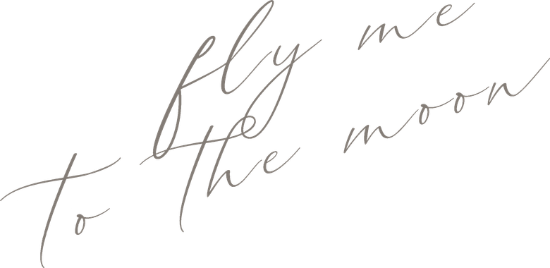 Fly Me to the Moon