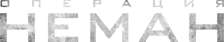 Операция «Неман» logo