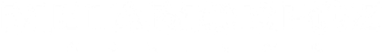 Metamorfoz logo