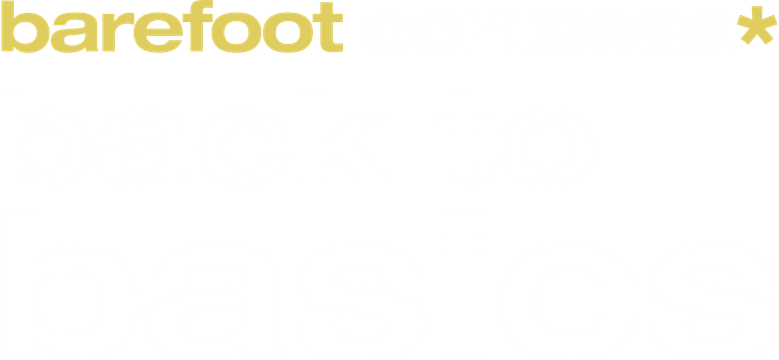 Barefoot Contessa: Back to Basics logo