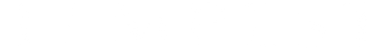 Tempest logo