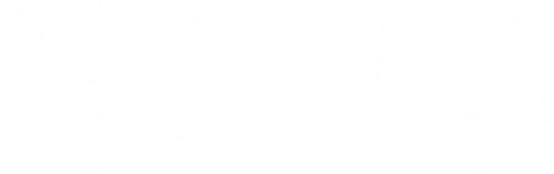 המזח logo