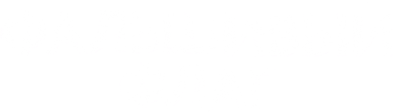 Фальшивый флаг logo