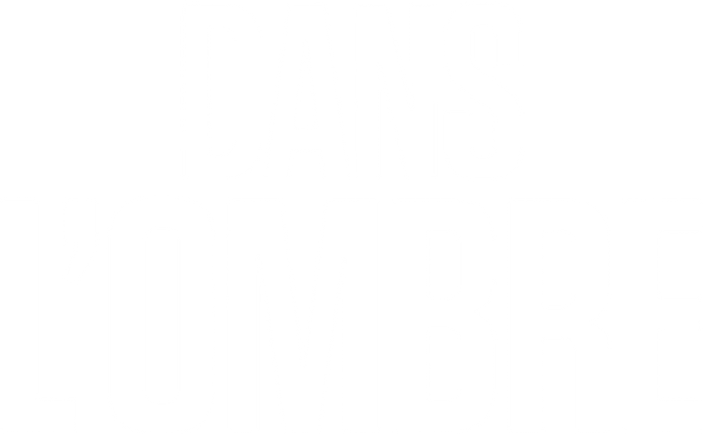 Dans l'ombre logo