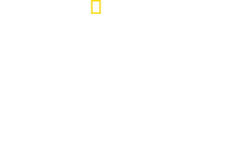 Most Wanted Sharks