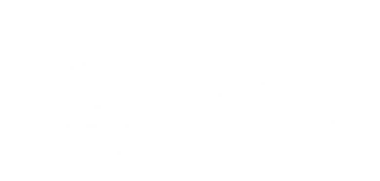 追光的日子 logo