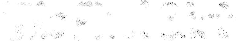 O Primeiro Tiro logo