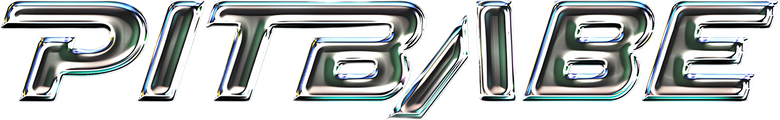 Pit Babe logo