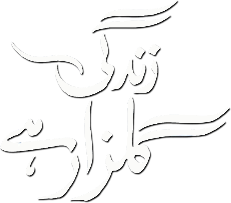 زندگی گلزار ہے logo