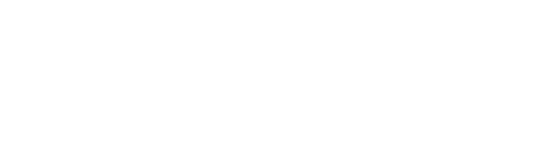 Wild Ones - Junge Helden logo